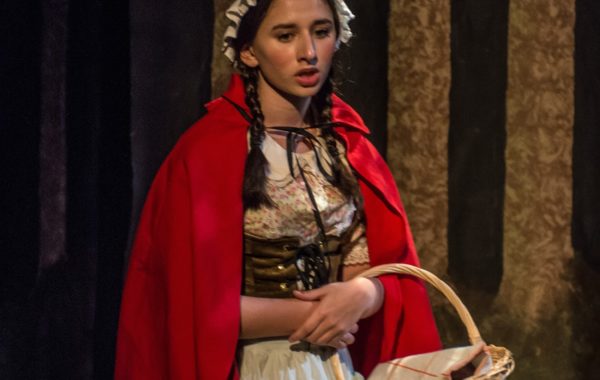 Into the Woods 6